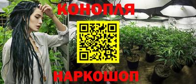 стаф Краснознаменск