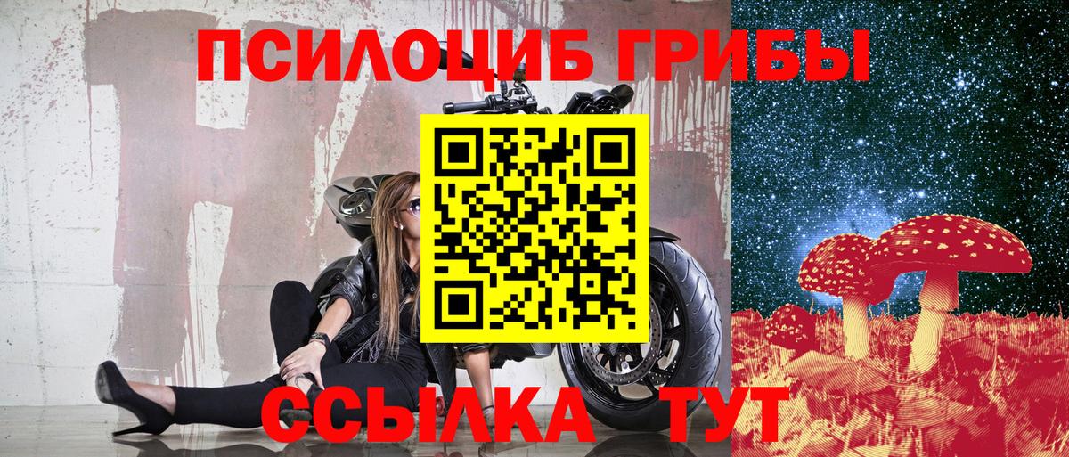 Галлюциногенные грибы ЛСД  Галлюциногенные грибы MAGIC MUSHROOMS  Вход с VPN  наркошоп  Кохма 